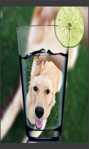 Ȥͼ׿ v8081.21.12.20