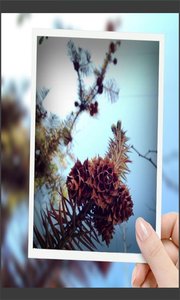 Ȥͼ׿ v8081.21.12.20