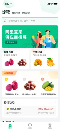 ����ƻ������������ v