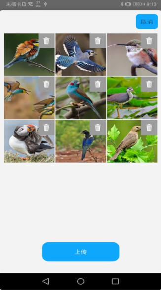 �������׿���°����� v1.0.6