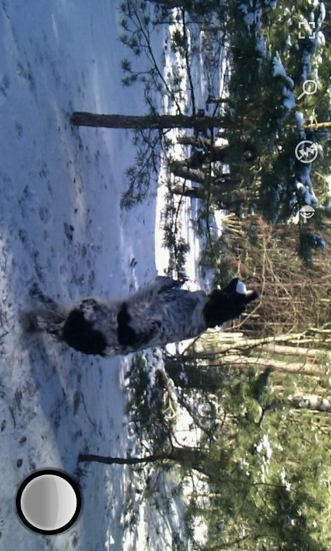 �������������׿������ v8.0.8