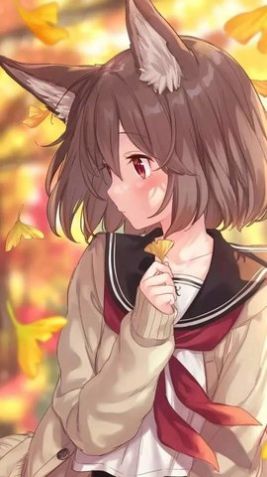 ��ѡ������׿������ v6.8.0