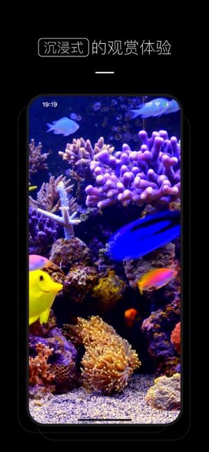 �ֻ������ֽ��׿������ v1.1.0