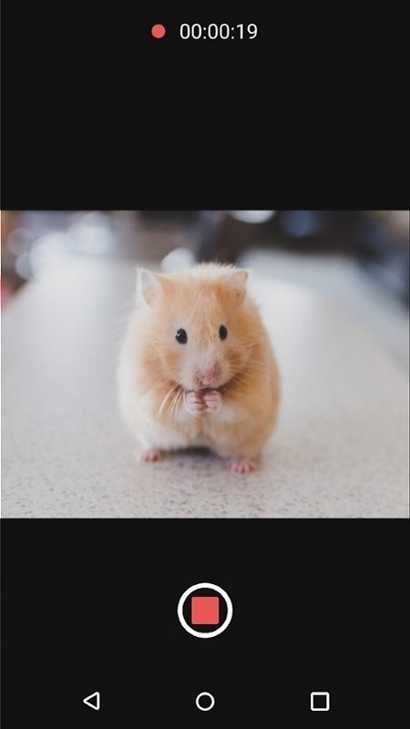 �ɱ佹�������׿������ v8.1.0