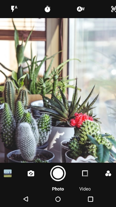 �ɱ佹�������׿������ v8.1.0