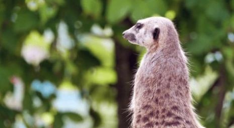 ����������׿������ v2.1.7.5.1