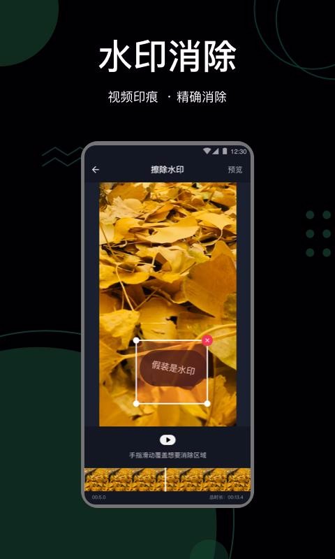 ����ȥˮӡ�ֻ����������� v1.0.4