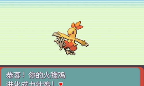 �ڴ������̱�ʯ��׿���°����� v1.6.2