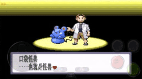 �ڴ����ֺ챦ʯ���İ��ֻ�apk������� v2021.05.21.14