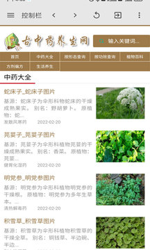 ����ҩ���������°����� v6.6