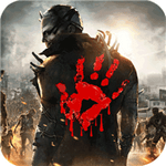 �������ʥ������������Ƶ