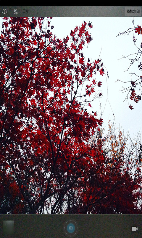 ħ����ͼ�������׿������ v8081.21.11.16