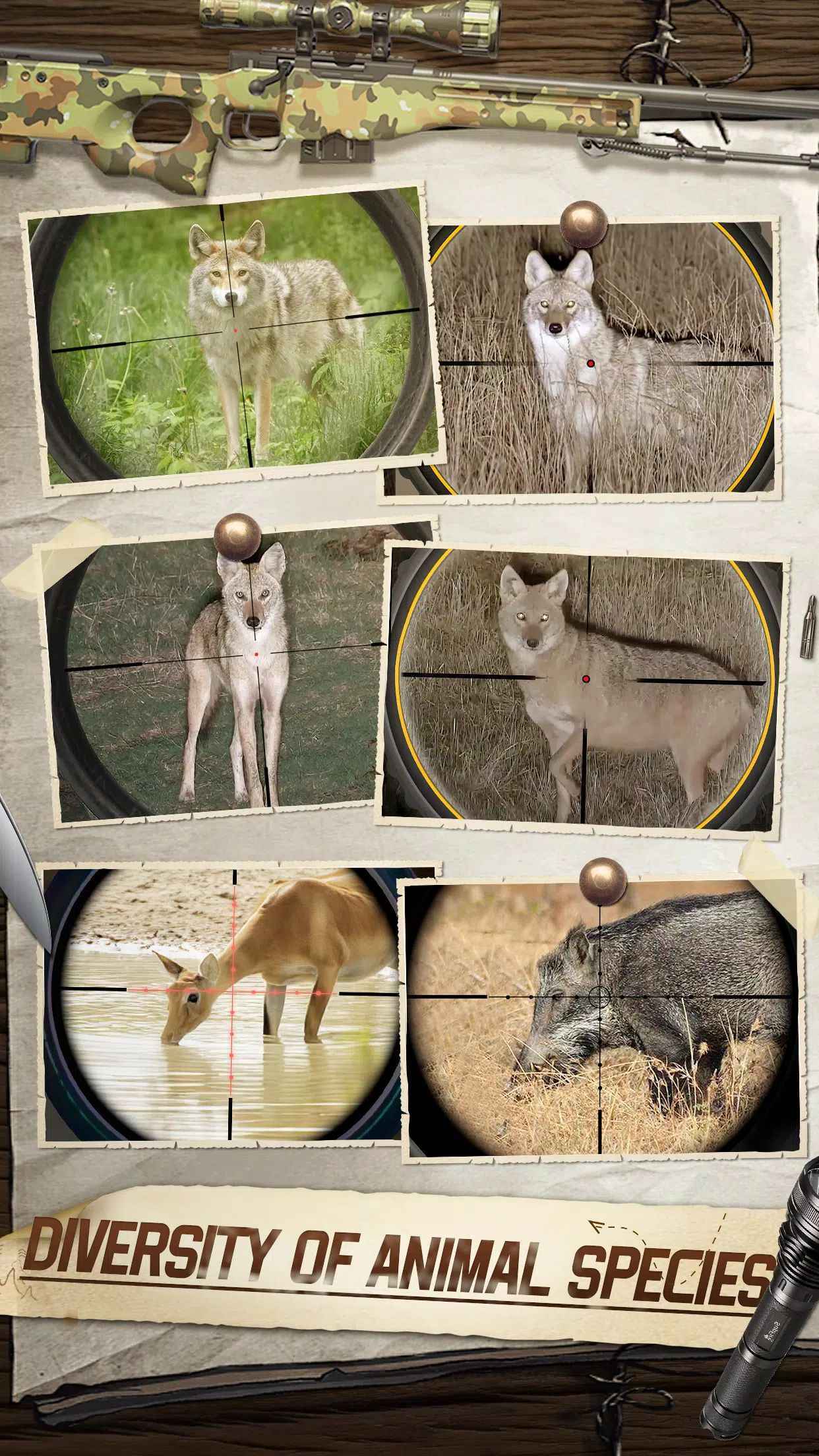 �ѻ������Դ�ʦ��׿���°����� v3.0