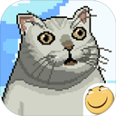 ��������С����ȹ��! �������������Ρ���ʯ�����ʵ������