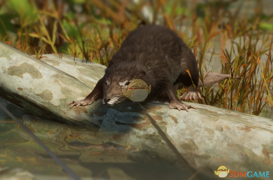 ������԰֮�ǡ�������̡����β��MOD v1.0