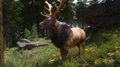 ���Ϲž���5��������ư桷�ռ�¹����MOD v1.0