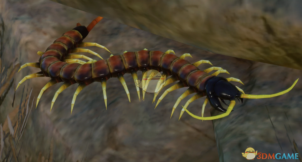 ������԰֮�ǡ������ֱ����������MOD v1.0