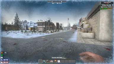 ������ɱ����ĻЧ����ʧMOD v1.0