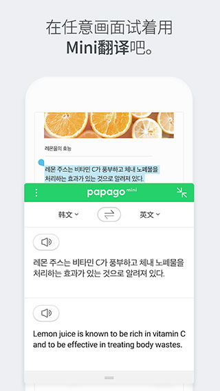 papago(���빤��)���°�׿������� v1.10.15