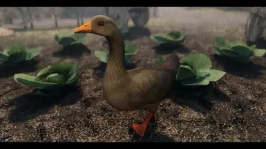 ���Ϲž���5��������ư桷ũ����MOD v1.0