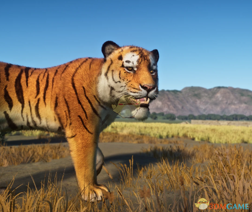 ������԰֮�ǡ��������ﺣ��MOD v1.0