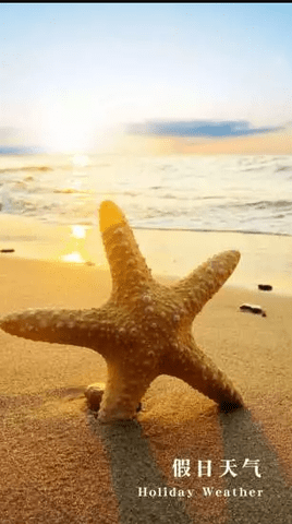 ����������׿������� v2.8.2