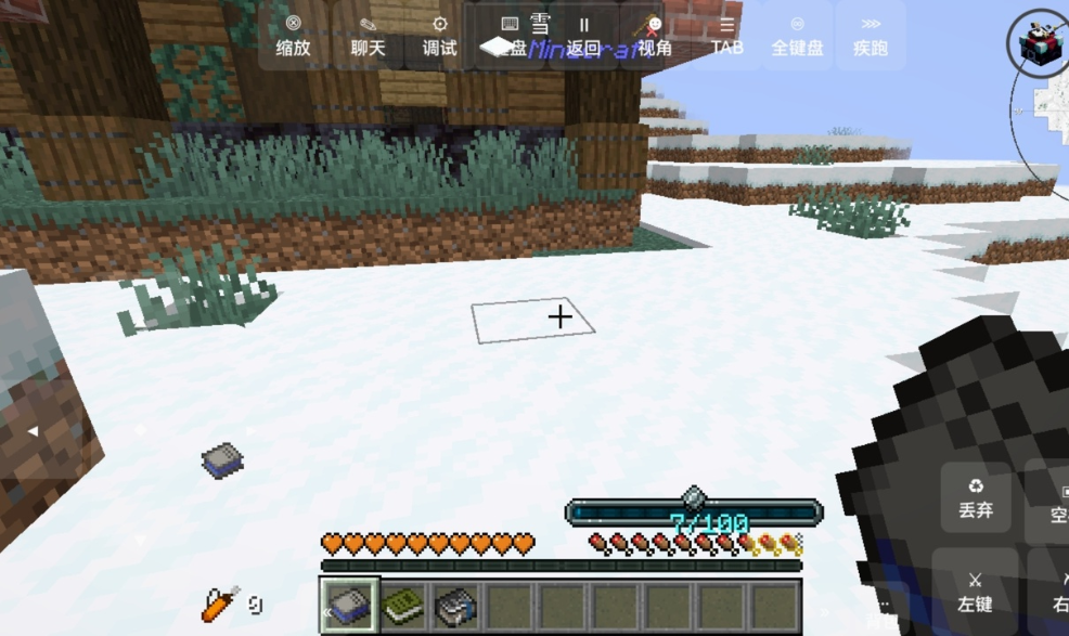 server v1.1.3-server