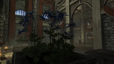 ���Ϲž���5��������ư桷������������MOD v1.0