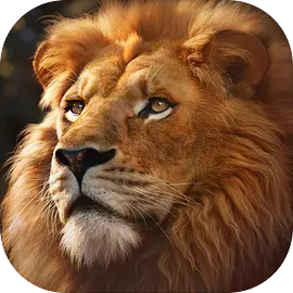 ������ս������׷����Ԥ��Ƭ