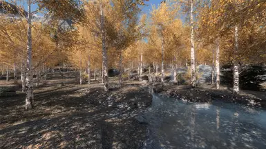 ���Ϲž���5��������ư桷����İ�����֦������ɫMOD v1.0