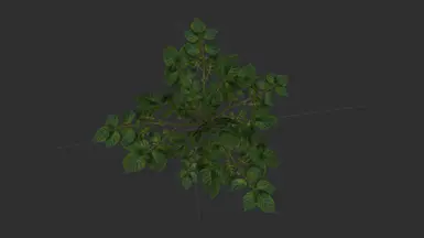 ���Ϲž���5��������ư桷��������ľ�������MOD v1.0