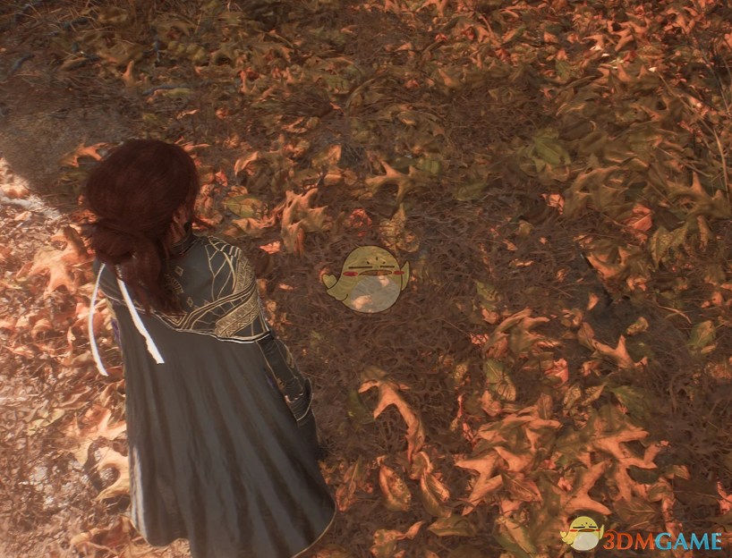 ������Ӱ��33��Զ���ӡ��갣�����õĲ�������MOD v1.0