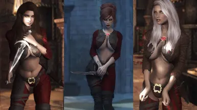 ���Ϲž���5��������ư桷֯Ů�Ƿ�װ���MOD v1.0