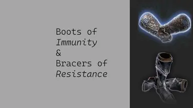 ������֮��3������֮ѥ�͵ֿ�����MOD v1.0