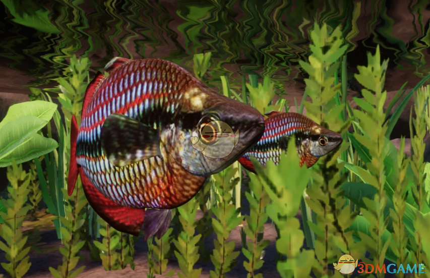 ������԰֮�ǡ������ְ��޲ʺ���MOD v1.0