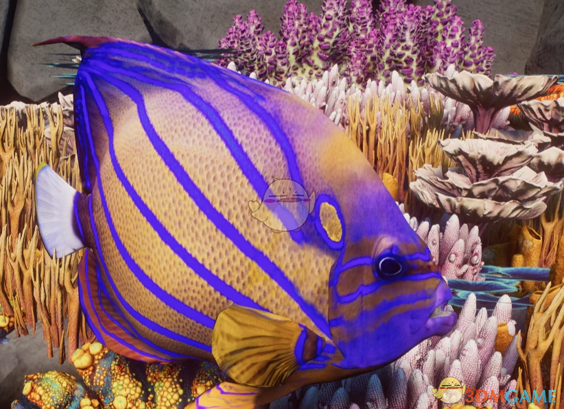 ������԰֮�ǡ�����������������MOD v1.0