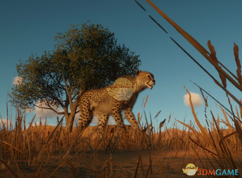 ������԰֮�ǡ������������Ա�MOD v1.0