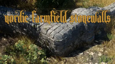 ���Ϲž���5��������ư桷��ŷũ��ʯǽMOD v1.0