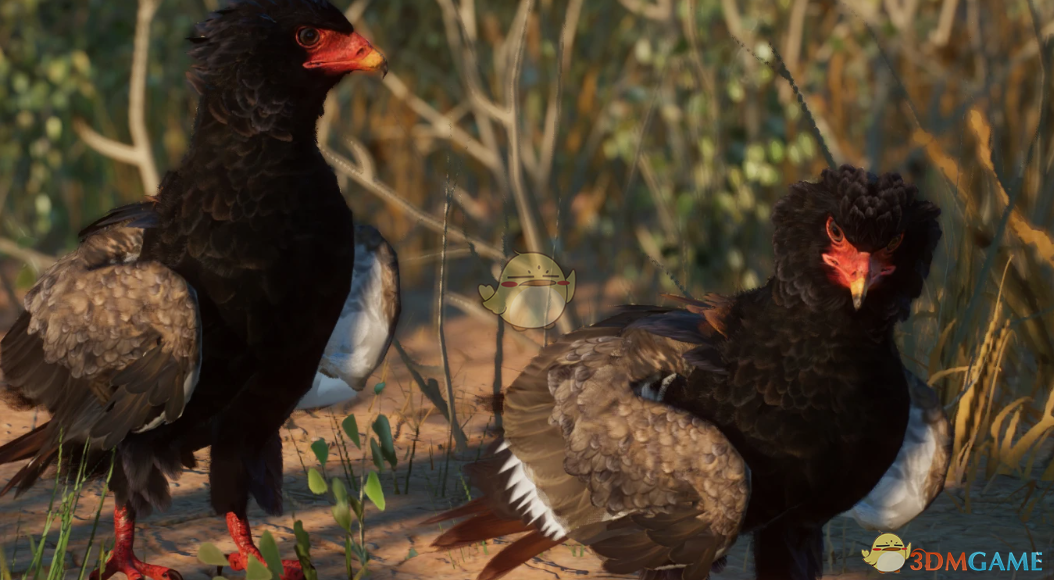 ������԰֮�ǡ������ֶ�β��MOD v1.0