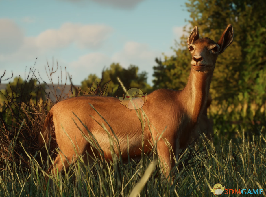 ������԰֮�ǡ�������Ť������MOD v1.0