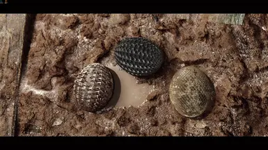 ���Ϲž���5��������ư桷�������MOD v1.0