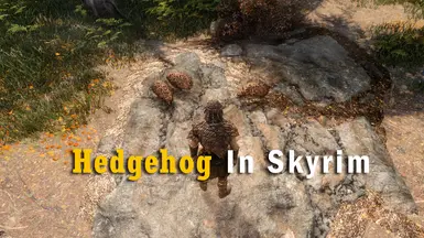 ���Ϲž���5��������ư桷����еĴ��MOD v1.0