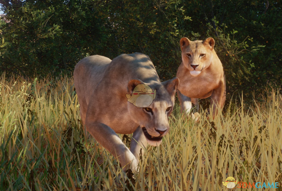 ������԰֮�ǡ������ָչ�ʨMOD v1.0