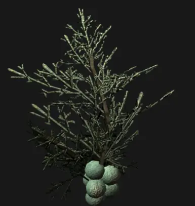 ���Ϲž���5��������ư桷�������Ķ����ӷ��۾�MOD v1.0