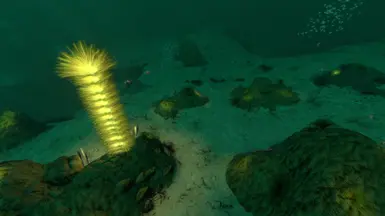 ����Ժ���ϡ�躣��ɭ��MOD v1.0