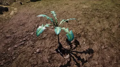 ���Ϲž���4���������ư桷û�����������MOD v1.0