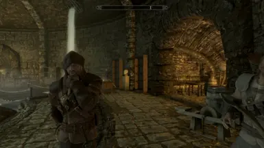 ���Ϲž���5��������ư桷������������MOD v1.0