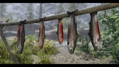 ���Ϲž���5��������ư桷���ҵ����������ƷMOD v1.0