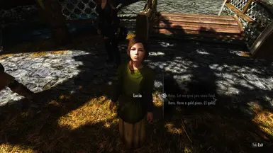 ���Ϲž���5��������ư桷����ؤʳ��MOD v1.0