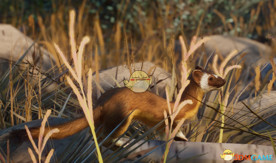 ������԰֮�ǡ������ֳ�β��MOD v1.0